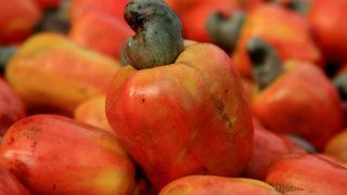 Ereksiyon hızını iki katına çıkarıyor, güçlendiriyor!