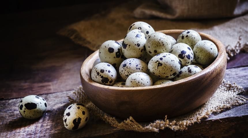 Bıldırcın yumurtası nasıl tüketilir, çocuğa nasıl verilir? Bıldırcın yumurtası çiğ tüketilir mi?