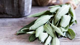 Enfeksiyonla savaşır, cilt lekelerini yok eder, zararlı toksinler vücuttan atar! Adaçayı faydaları nelerdir?