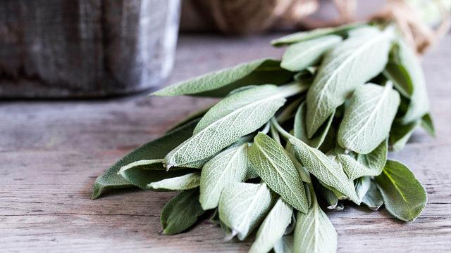 Enfeksiyonla savaşır, cilt lekelerini yok eder, zararlı toksinler vücuttan atar! Adaçayı faydaları nelerdir?