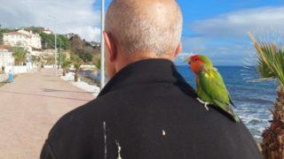 Onu gören fotoğrafını çekip, satın almak istiyor! 'Milyar da verseler vermem'