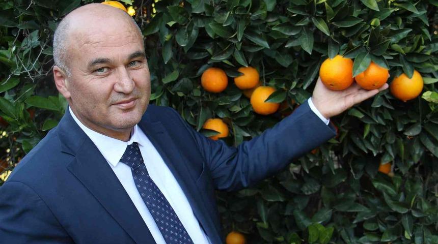 Mersin&rsquo;de portakalda hasat başladı