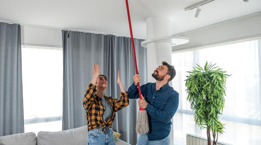 'Ev alma komşu al' diyen haklı çıktı! Durduk yerde hasta ediyor