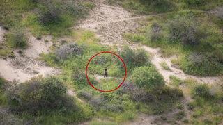 6 gün direndi! 4 yaşındaki çocuk, sırtlanlar ve çakallarla Afrika'nın vahşi doğasında hayatta kalmayı başardı