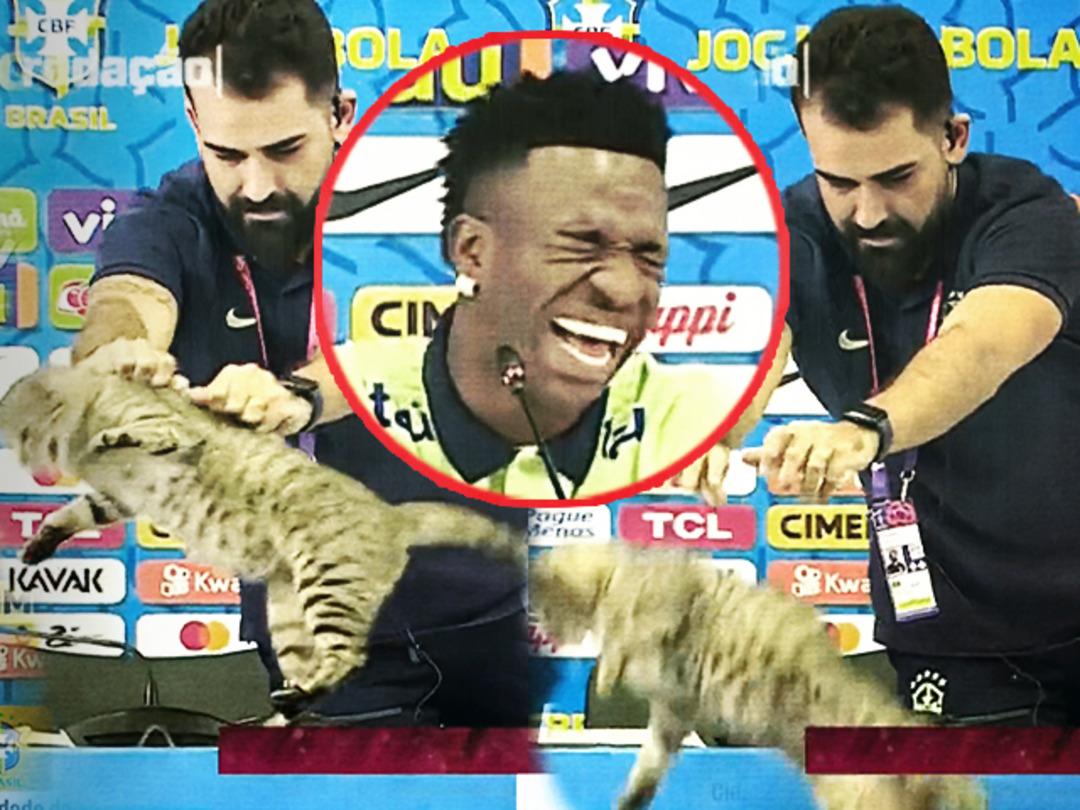 Skandalın b&ouml;ylesi! Basın toplantısında masaya &ccedil;ıkan kediyi aşağıya fırlattı, sonrasında ise pişkin pişkin g&uuml;ld&uuml;! Vinicius Junior ve Brezilya Milli Takımı'na tepki &uuml;st&uuml;ne tepki yağıyor...