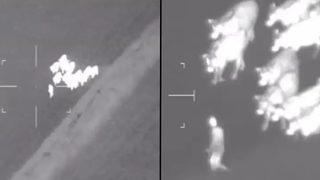 Sosyal medyada gündem olan görüntüler! Polislerden kaçan zanlıyı 'inekler' yakaladı