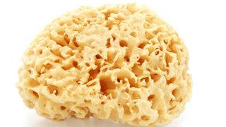 Her mutfakta var ama resmen bakteri kaynıyor! Uzmanlar uyarıyor: İnsanları hasta ediyor