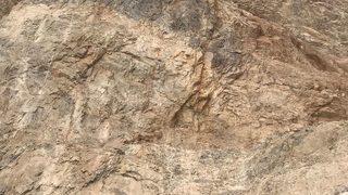 Muğla'da devrilen iş makinesinin altında kalan işçi öldü