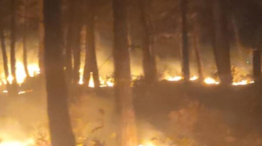 Osmaniye’de orman yangını