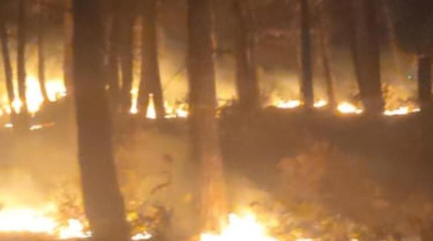 Osmaniye'de orman yangını! Ekipler seferber oldu