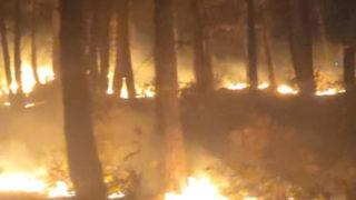 Osmaniye'de orman yangını! Ekipler seferber oldu