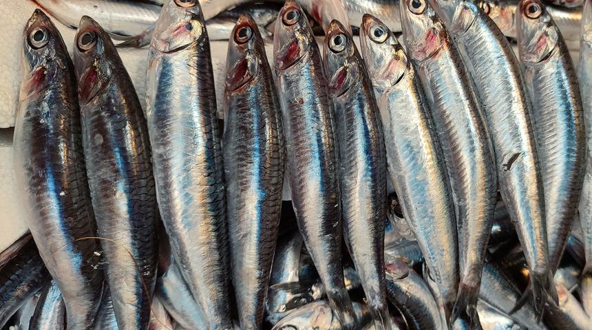 Yararlı diye yiyorsunuz ama zehirliyor! Her balık aynı değil