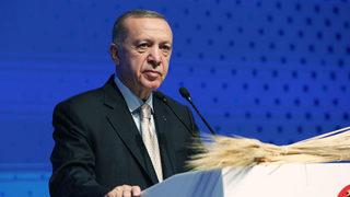 Son dakika | Erdoğan pazar gününü işaret etti! Putin ve Zelenskiy'le görüşmesini tüm dünyaya duyurdu: Tahıl koridoru diplomasisi