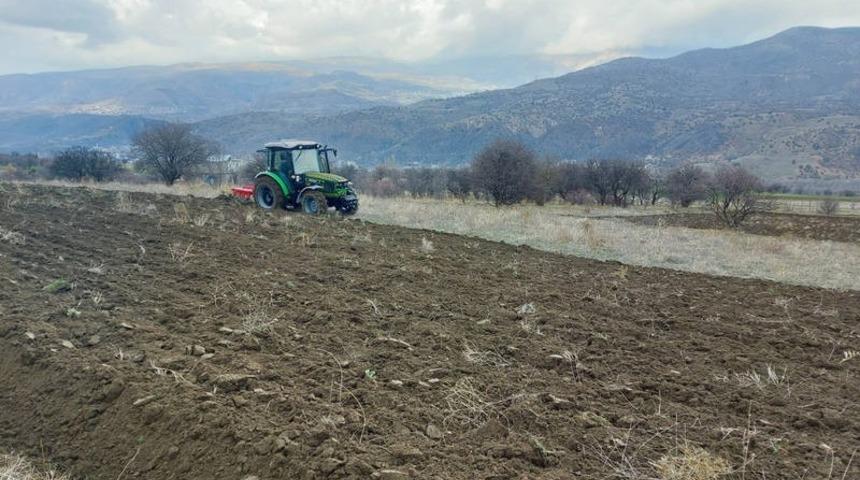 Boş tarım arazileri siyez buğdayı ile buluşuyor