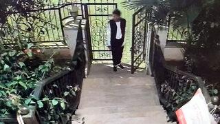 Marmaris'te cins köpekleri böyle çaldılar! 