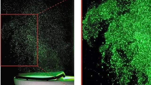 Her şey 8 saniyede oluyor! İğrenç anlar gözler önüne serildi: Hastalık yayıyor