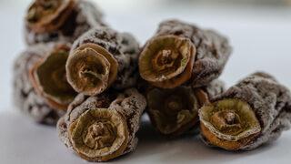 Kendisi faydalı ama yoğurtla karıştırınca harikalar yaratıyor! Metabolizma hızını iki katına çıkarır