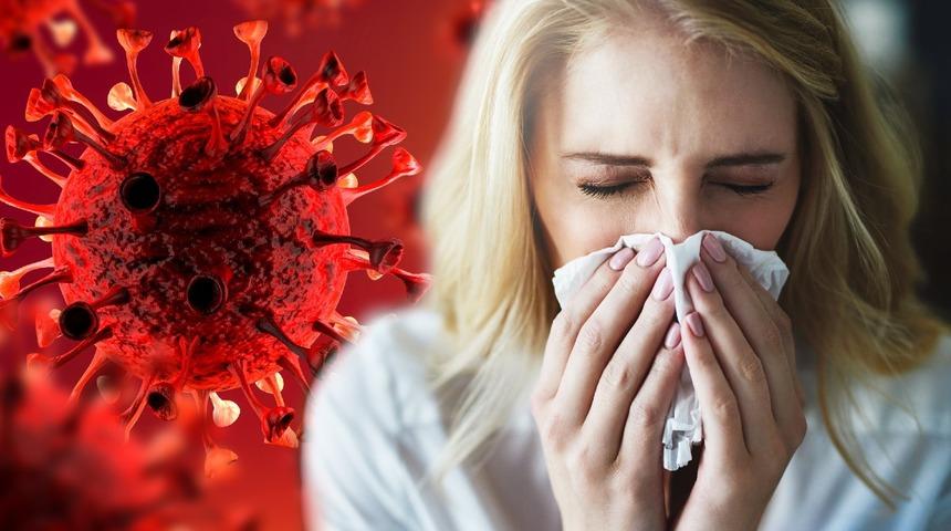 Kritik uyarı: Domuz gribi Covid-19 kadar bulaşıcı ve öldürücü olabilir