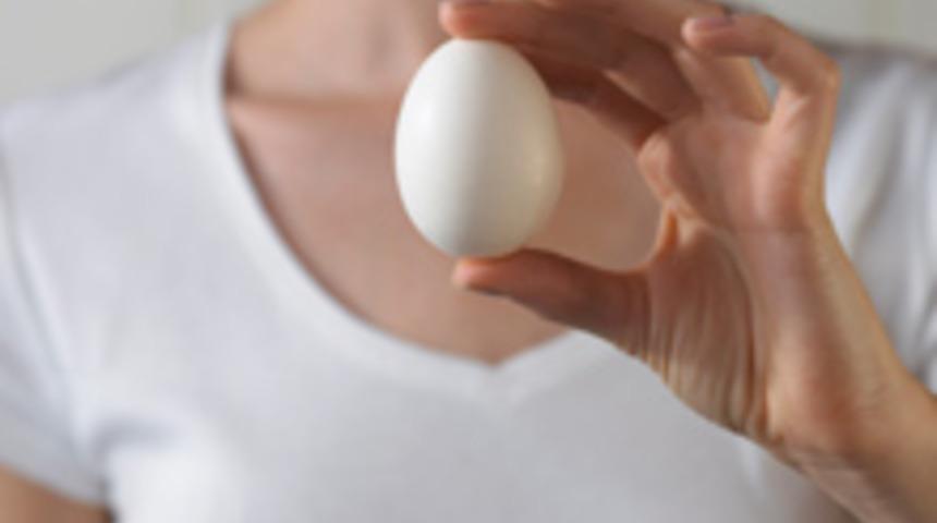 Yumurta Hakkında Yanlış Bildiklerimiz