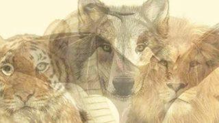 Resimde görülen ilk hayvan karakter özelliklerinizi söylüyor! Hangi hayvanı görüyorsunuz?