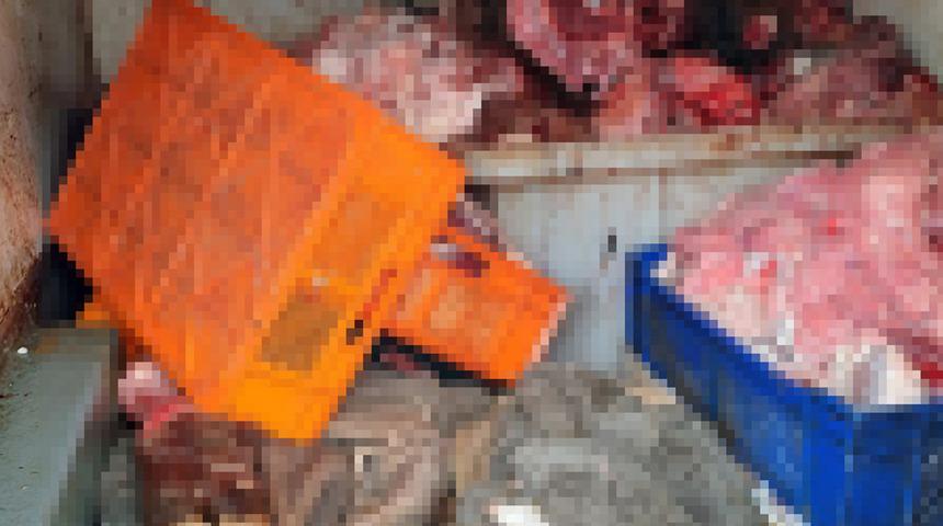 Vatandaşa yedireceklerdi! 700 kilo sakatat... Hepsi imha edildi