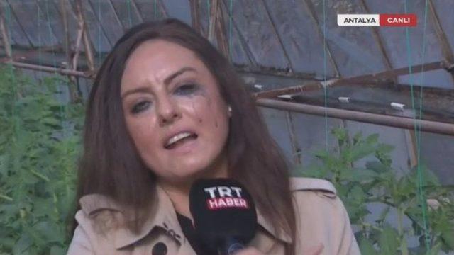 Özlem Pirim kimdir? Antalya'da sular altındaki bir seranın içinden bilgi veren TRT muhabiri Özlem Pirim’in zor anları!