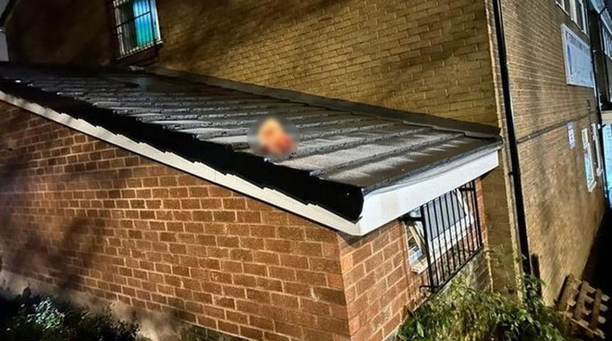 Caminin çatısına domuz kafası bıraktılar! İbadet etmeye gelenler dehşete düştü