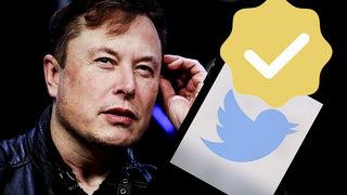 Elon Musk duyurmuştu! Twitter'da 'altın tik' dönemi başladı! Pek çok hesap mavi yerine sarı renkli tik aldı