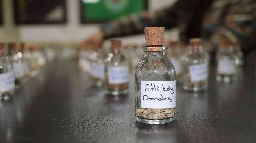 Rize’de ata tohum seferberliği