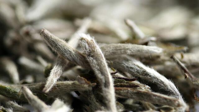 Antioksidan deposu, vücudu yeniler! Beyaz çaylı detoks suyu tarifi