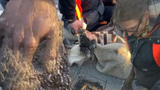 Alman iklim aktivisti eylem sırasında elini asfalta yapıştırdı! Bir türlü çıkartmayınca polis ekipleri matkapla kesti