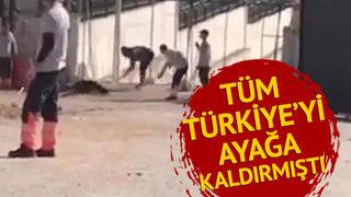 Son dakika: Köpeğin kafasına kürekle vurduğu anlar kan dondurmuştu! İki kişi hakkında istenen ceza belli oldu
