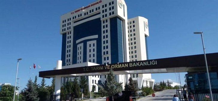 Tarım ve Orman Bakanlığı personel alım başvuruları ne zaman? Tarım ve Orman Bakanlığı 1.200 sözleşmeli personel alacak! 