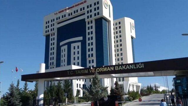 Tarım ve Orman Bakanlığı personel alım başvuruları ne zaman? Tarım ve Orman Bakanlığı 1.200 sözleşmeli personel alacak! 