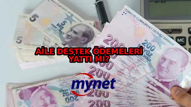 AİLE DESTEK PROGRAMI ÖDEMELERİ yattı mı, ne zaman yatacak? 15 Aralık 2022 aile destek ödemeleri yatan iller!