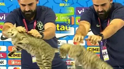 Kediyi fırlatıp, pişkin pişkin gülerek skandala imza atmıştı! Brezilya Futbol Konfederasyonu’na dava açıldı...