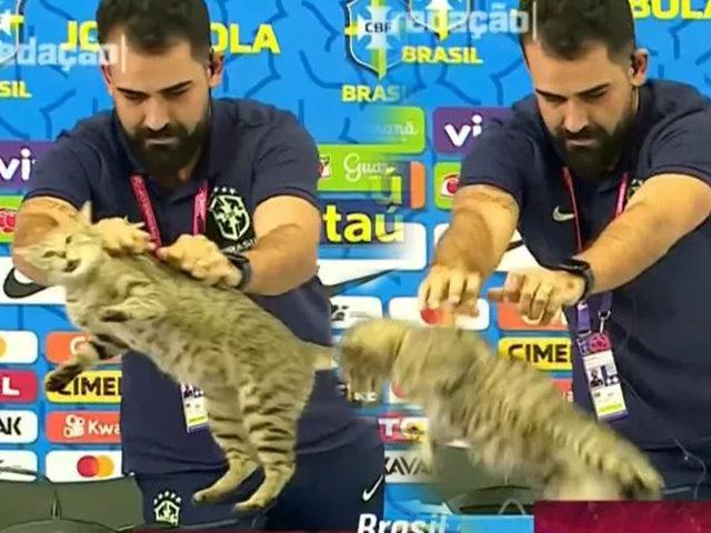 Kediyi fırlatıp, pişkin pişkin gülerek skandala imza atmıştı! Brezilya Futbol Konfederasyonu’na dava açıldı...