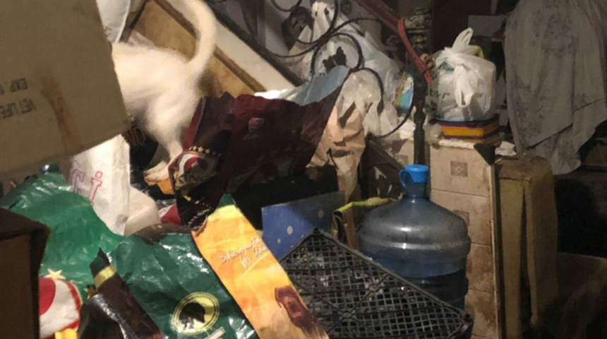 Evinde kedi ve köpek ölüleri bulunmuştu! Yaşlı kadına Diyojen sendromu incelemesi