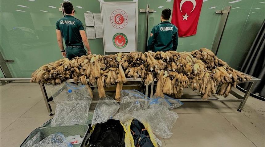 Moskova'dan gelen valizlerden çıktı! Değeri 1,5 milyon lira... İstanbul Havalimanı'nda ele geçirildi