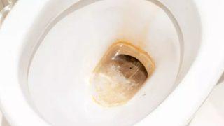 Sararmış tuvalet taşlarını anında bembeyaz yapacak! Tuvaletleri beyazlatmak için en etkili çözüm