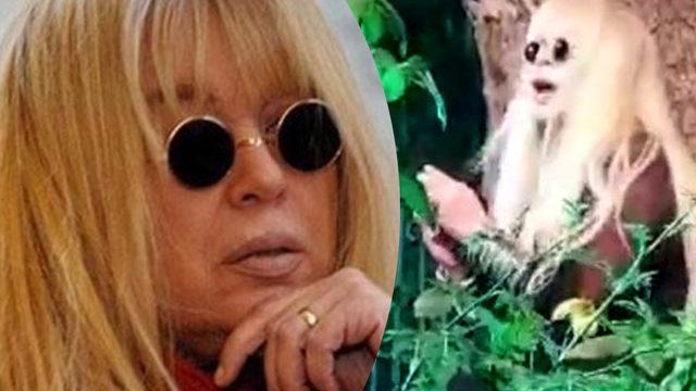 Zerrin Özer mezarlıkta şarkı söyledi! Yorumlar çığ gibi geldi 