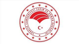 Tarım ve Orman Bakanlığı 6 bin personel alacak! Tarım ve Orman Bakanlığı personel alımı başvuru şartları nedir?