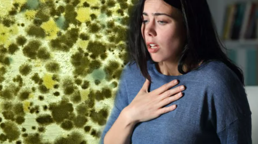 Evinizde varsa hemen müdahale edin: Sağlığınızı mahvediyor! Rutubeti geçirmek için...