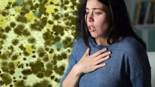 Evinizde varsa hemen müdahale edin: Sağlığınızı mahvediyor! Rutubeti geçirmek için...