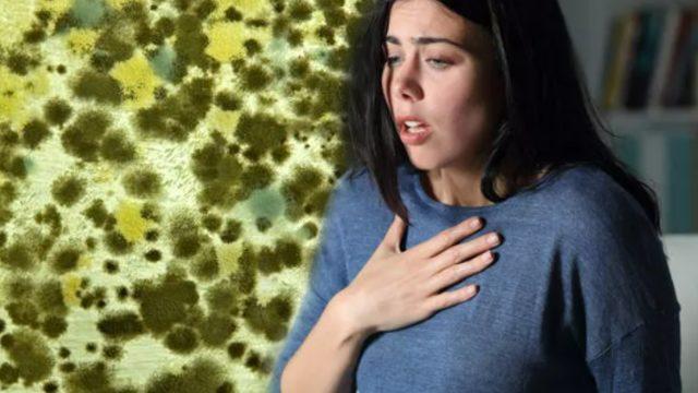 Evinizde varsa hemen müdahale edin: Sağlığınızı mahvediyor! Rutubeti geçirmek için...