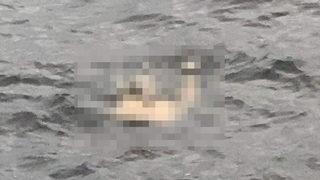 İstanbul'un göbeğinde korkunç görüntü! Vatandaşlar fark etti Suyun üzerinde...