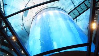 O ülkede dev akvaryum patladı! Hepsi caddeye dağıldı 'Tsunamiye benziyor! 1 saat geç olsaydı...'