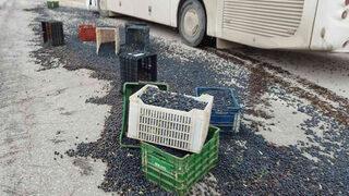 Kaza sonrası zeytinler yola saçıldı! Küreği eline alıp...