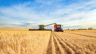 Tarımda görülmemiş uygulama: Çiftçinin ne üreteceğine bakanlık karar verecek: İzni olmayana para cezası yolda