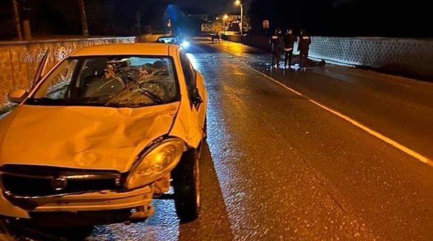 Otomobilin &ccedil;arptığı at yaralandı